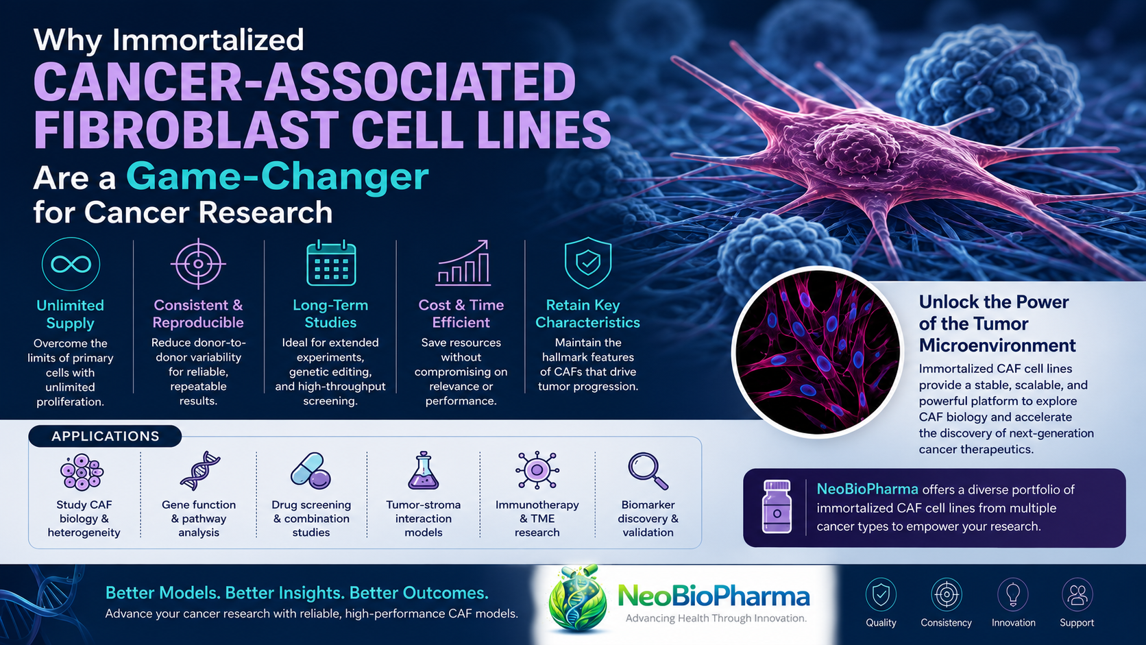 Why Immortalized Cancer-Associated Fibroblast Cell Lines Are a Game-Changer for Cancer Research