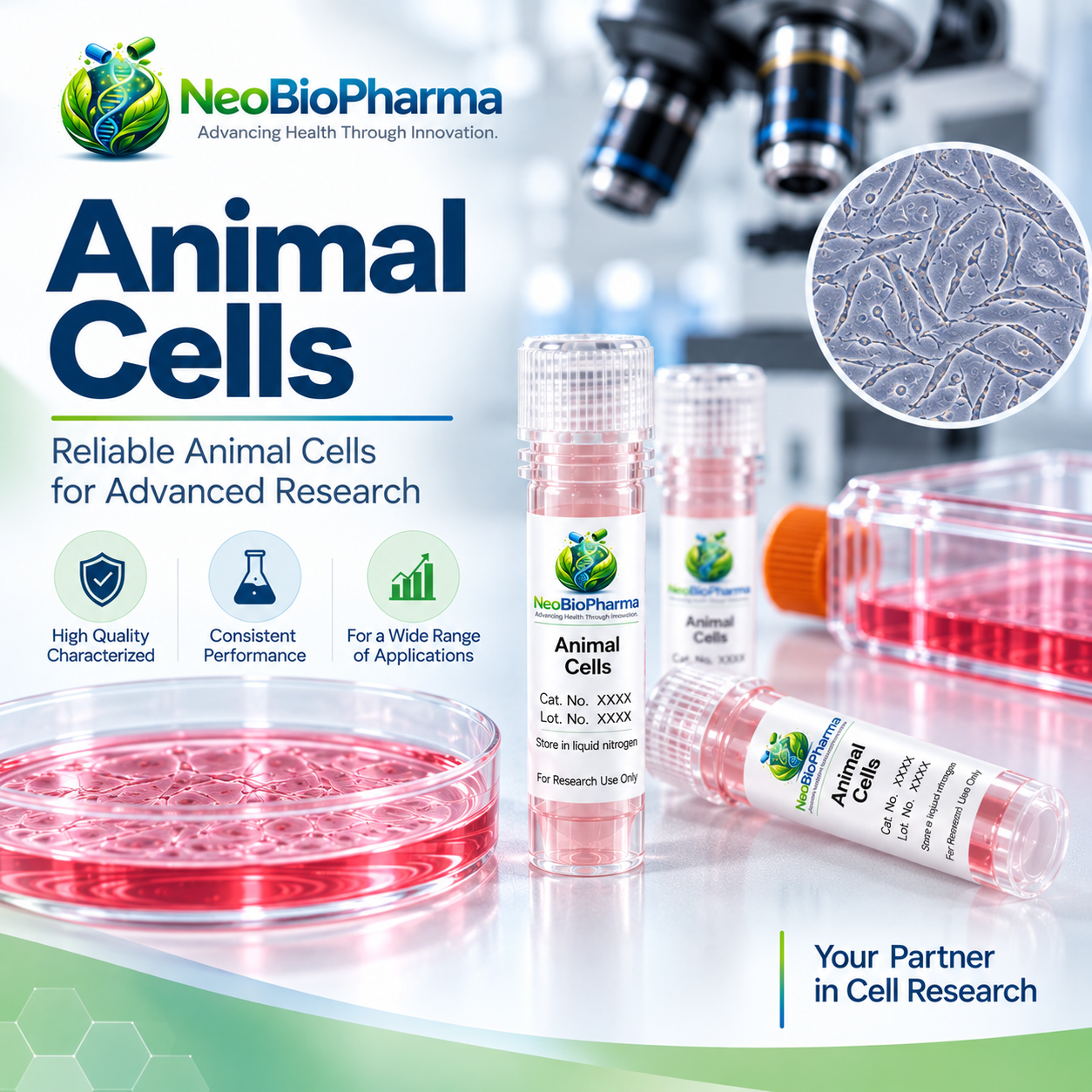 Animal Cells