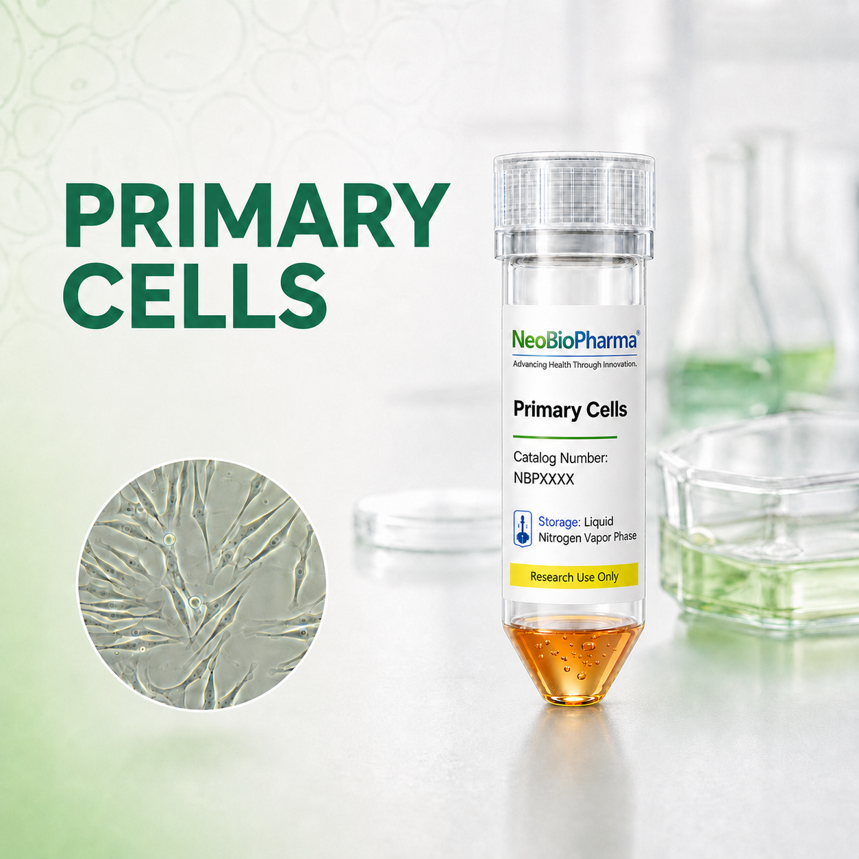 Primary  Cells