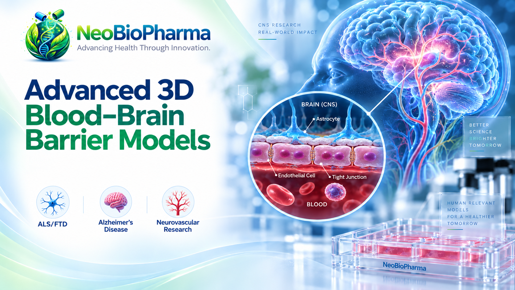 EXPLORE 3D BBB MODELS