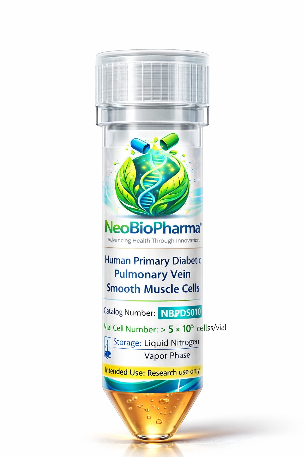 Human Primary Diabetic Pulmonary Vein Smooth Muscle Cells