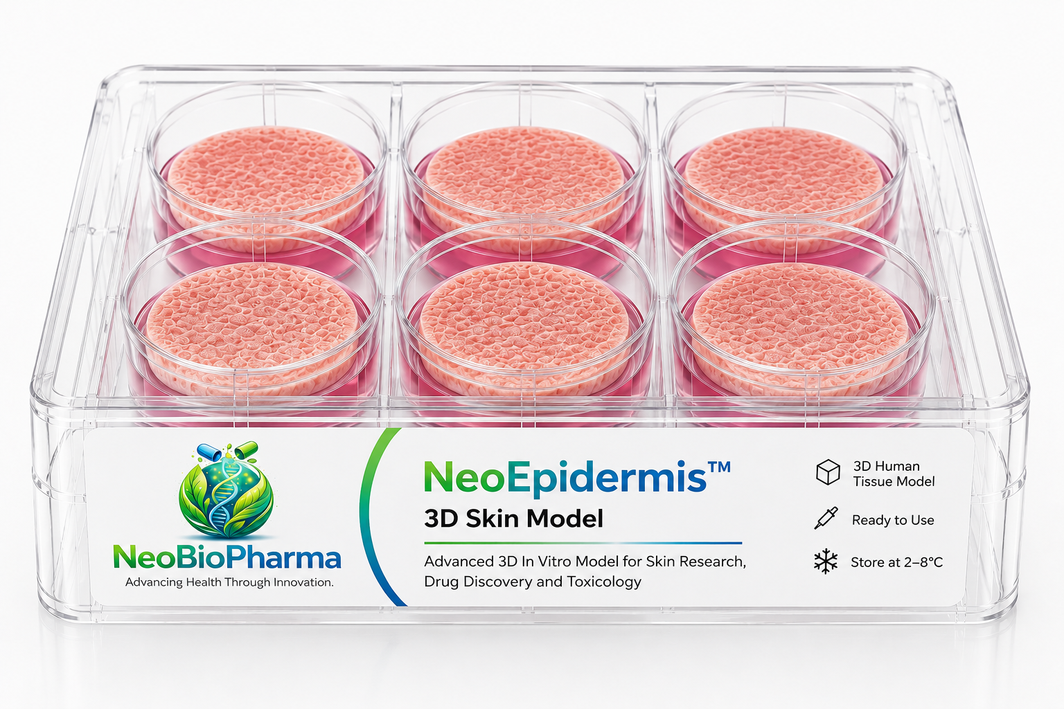NeoEpidermis™ 3D Skin Model