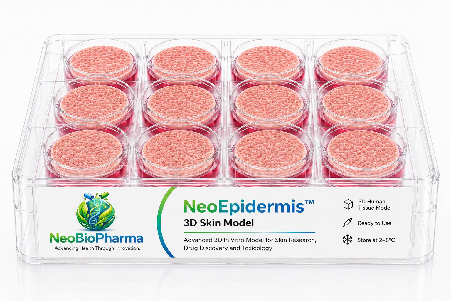 NeoEpidermis™ 3D Skin Model