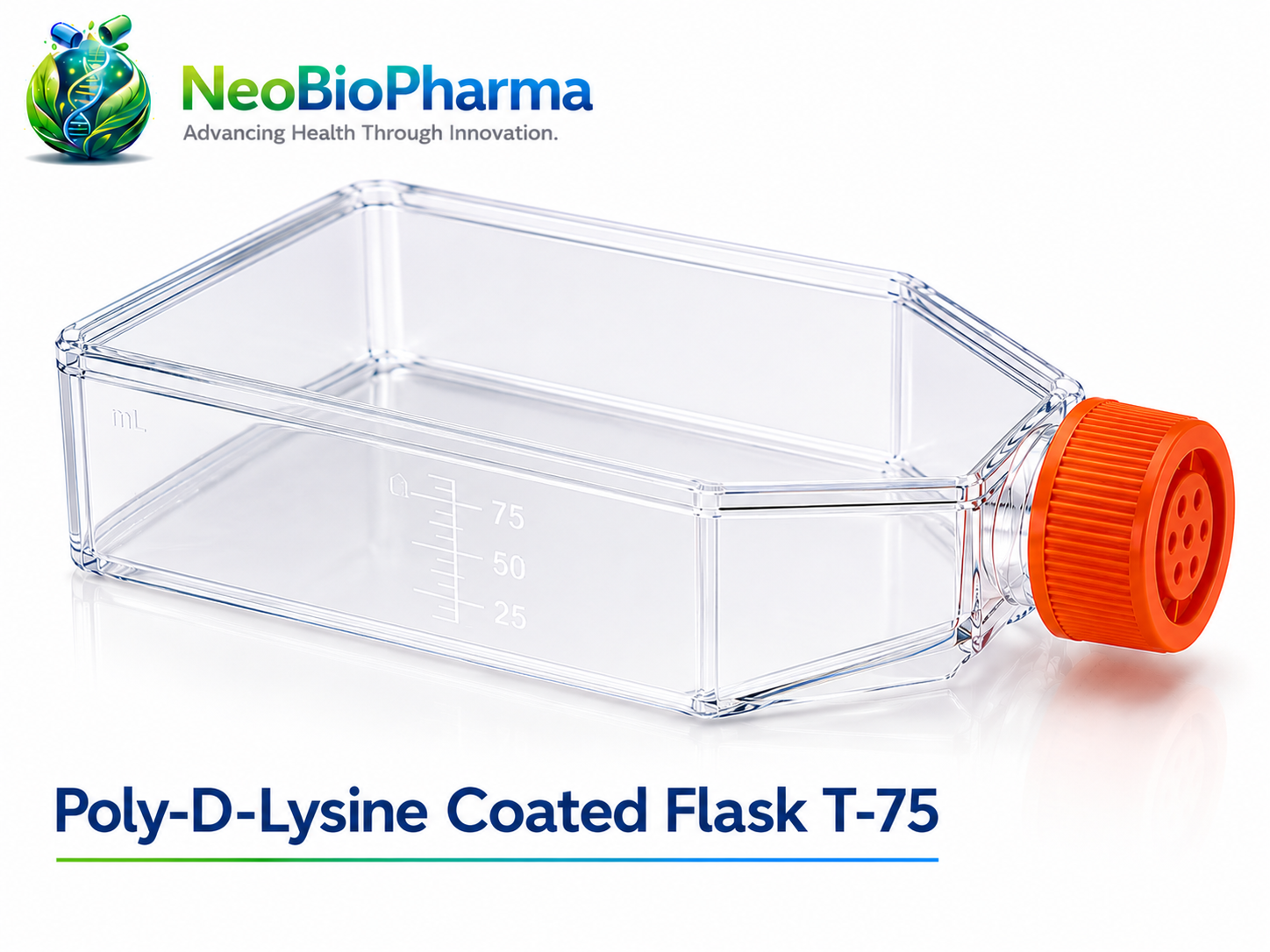 Poly-D-Lysine Coated plate T-75