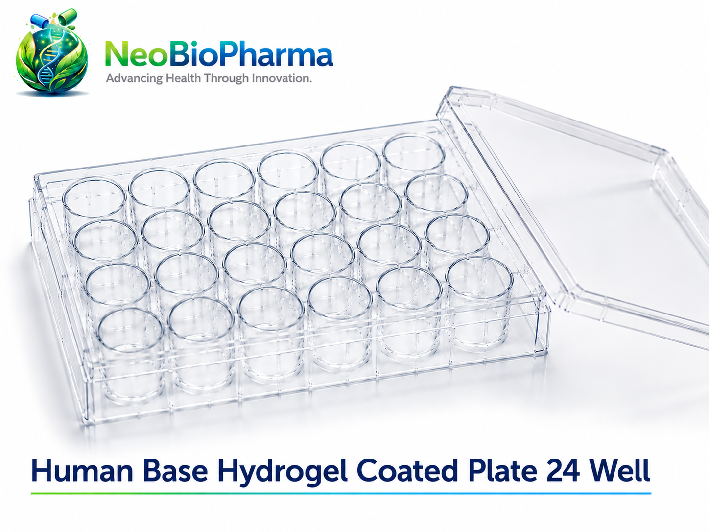 Human Base Hydrogel Coated Plate 24 Well