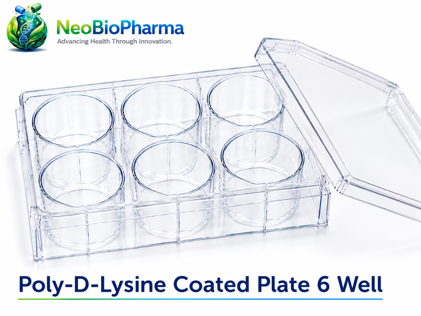 Poly-D-Lysine Coated plate 6 Well