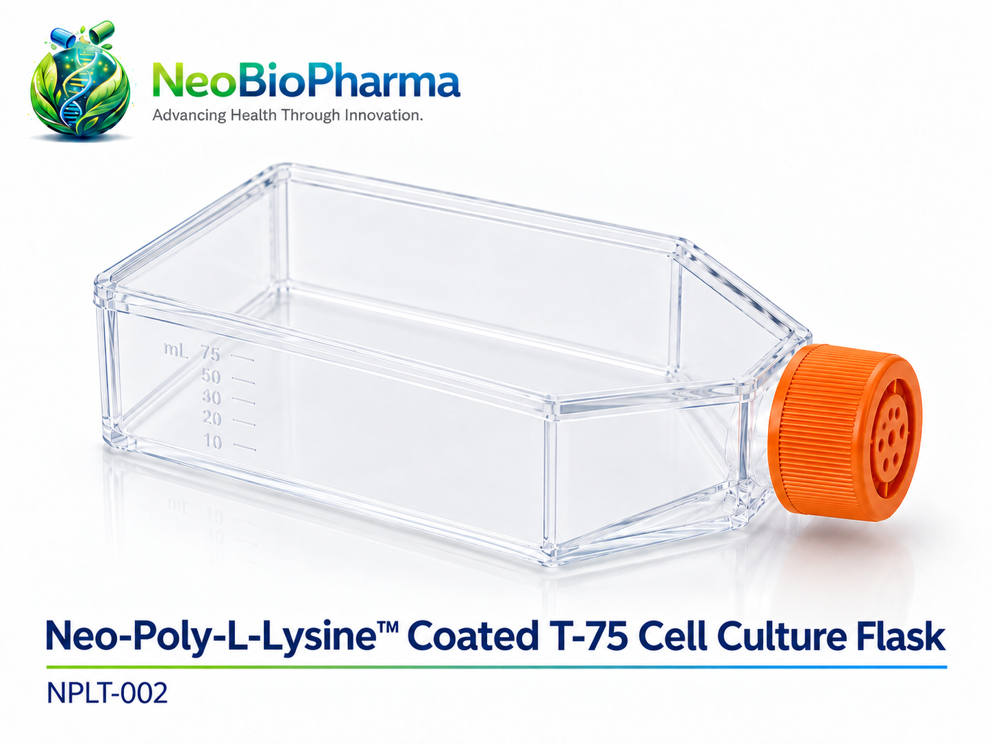 Neo-Poly-L-Lysine™ Coated T-75 Cell Culture Flask