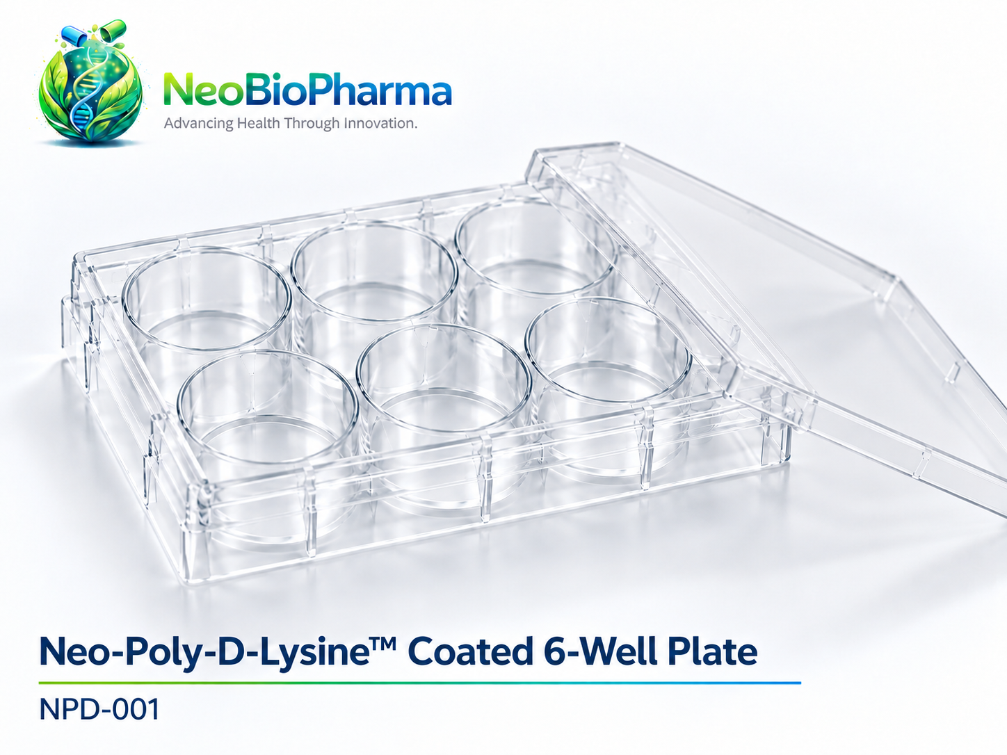 Neo-Poly-D-Lysine™ Coated 6-Well Plate