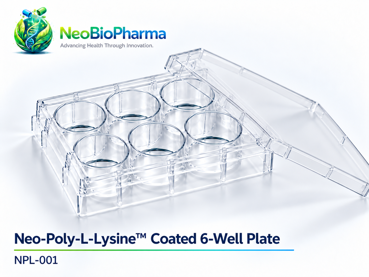 Neo-Poly-L-Lysine™ Coated 6-Well Plate