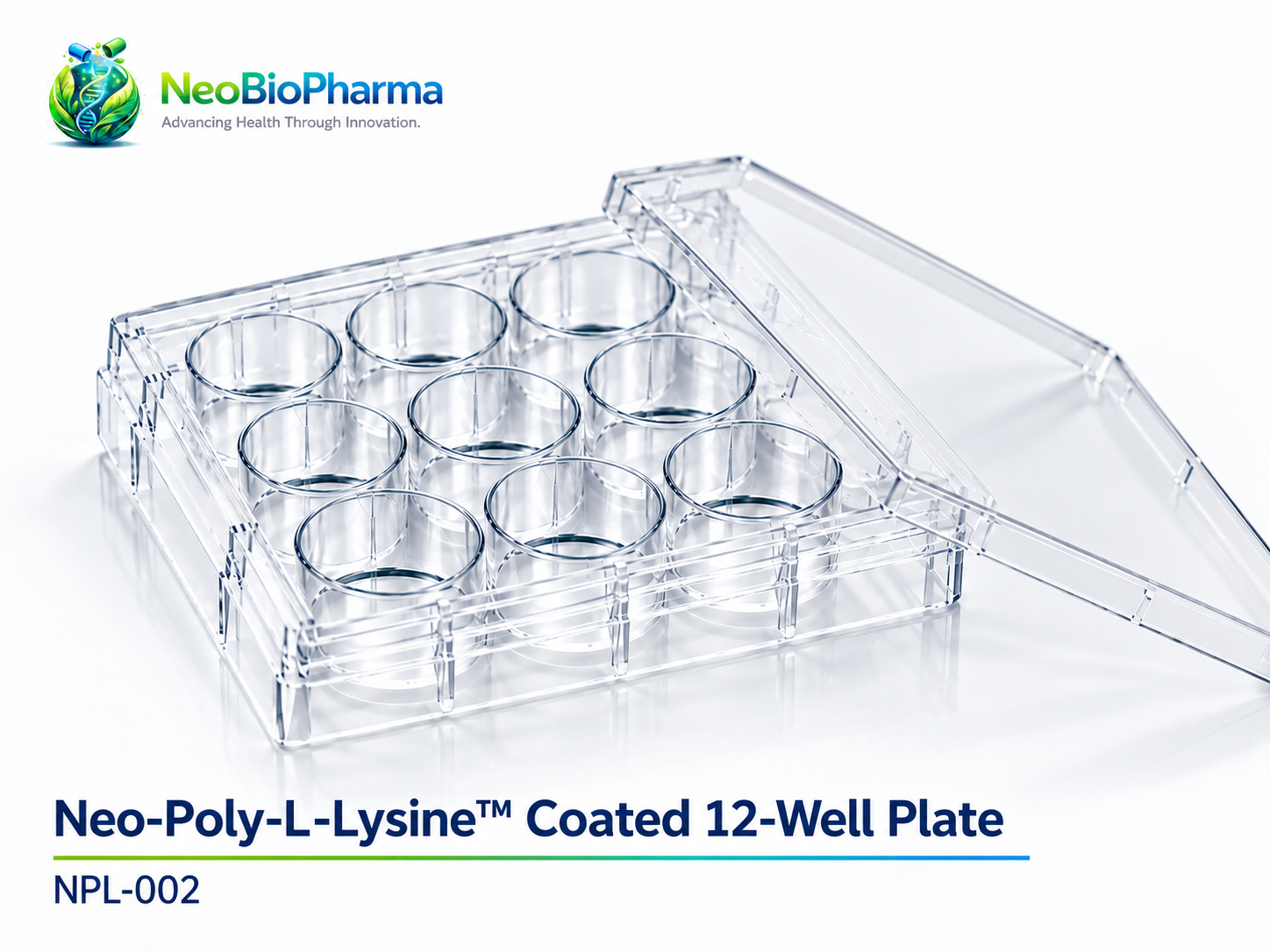 Neo-Poly-L-Lysine™ Coated 12-Well Plate