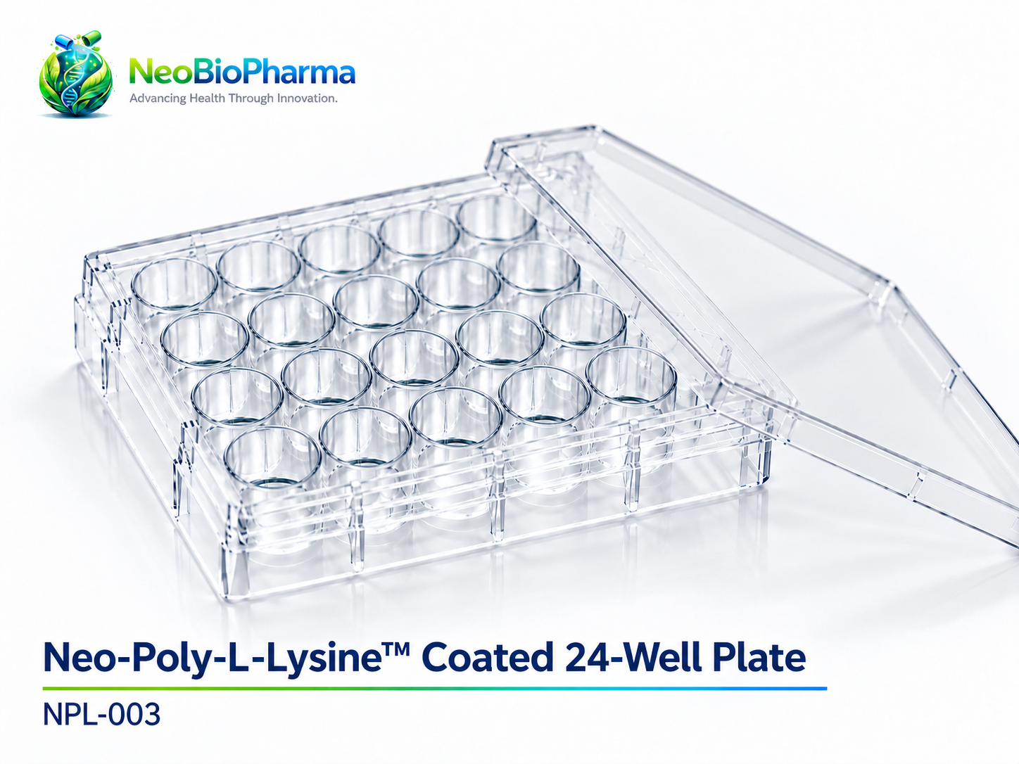 Neo-Poly-L-Lysine™ Coated 24-Well Plate