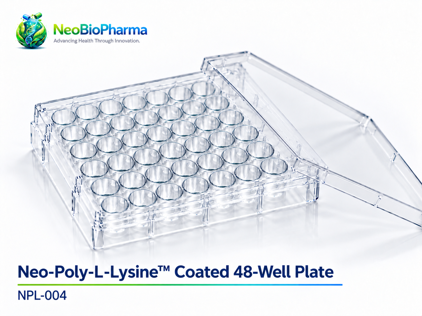 Neo-Poly-L-Lysine™ Coated 48-Well Plate