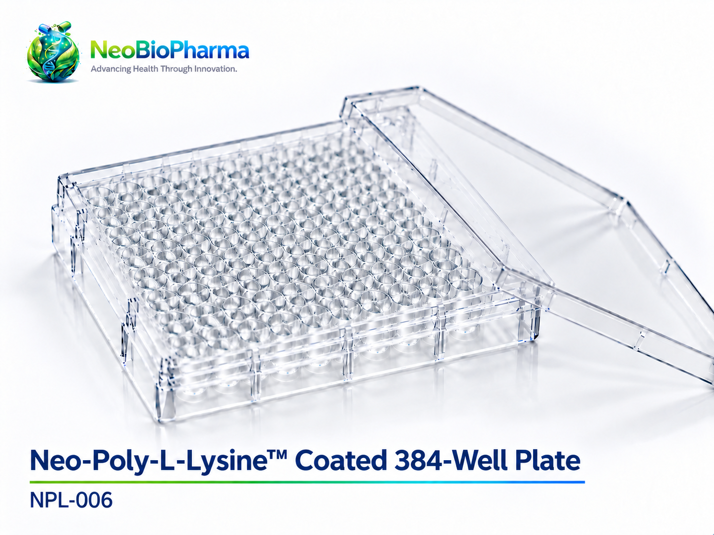 Neo-Poly-L-Lysine™ Coated 384-Well Plate