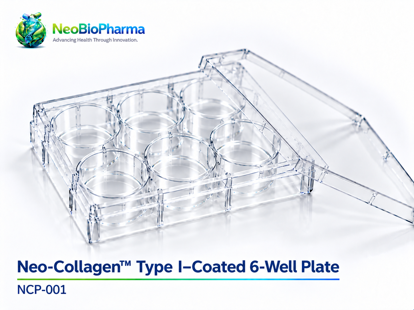Neo-Collagen™ Type I–Coated 6-Well Plate